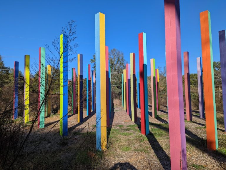 “Rainbow Forest” | Georgia USA 🇺🇸