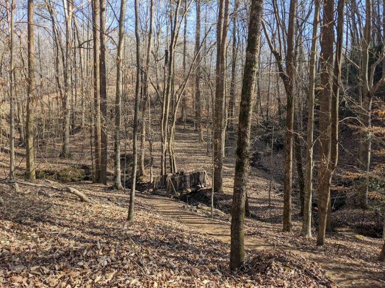 Linwood Nature Preserve | Georgia USA 🇺🇸