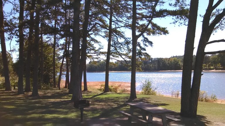 Sardis Creek Park | Georgia USA 🇺🇸