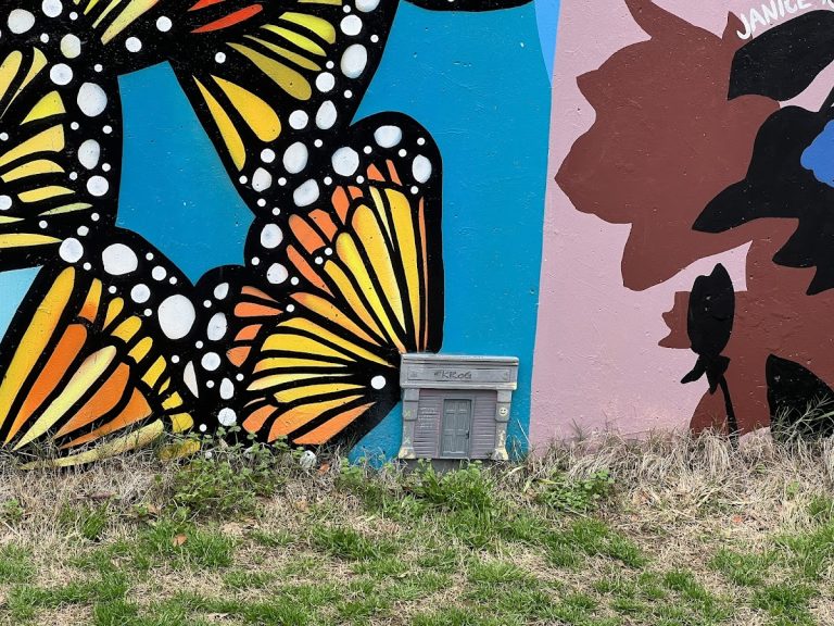 Tiny Door Atlanta Door 1 | Georgia USA 🇺🇸
