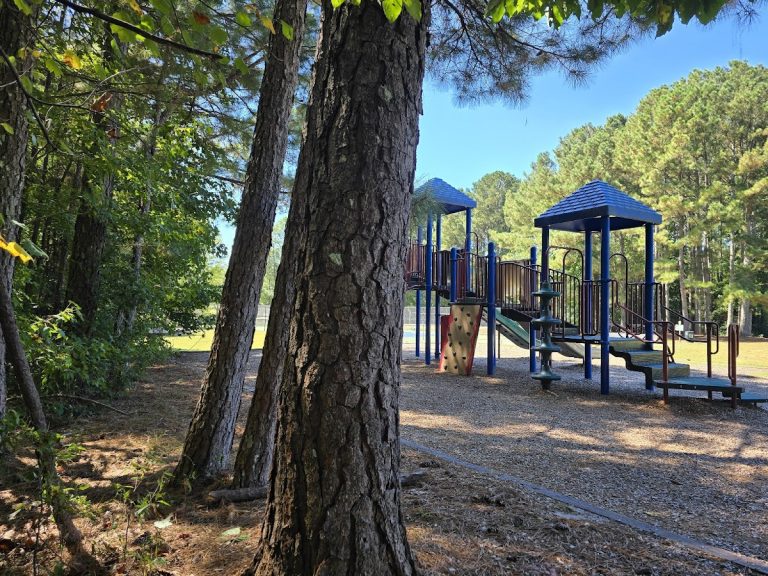 Blue Smoke Park | Georgia USA 🇺🇸