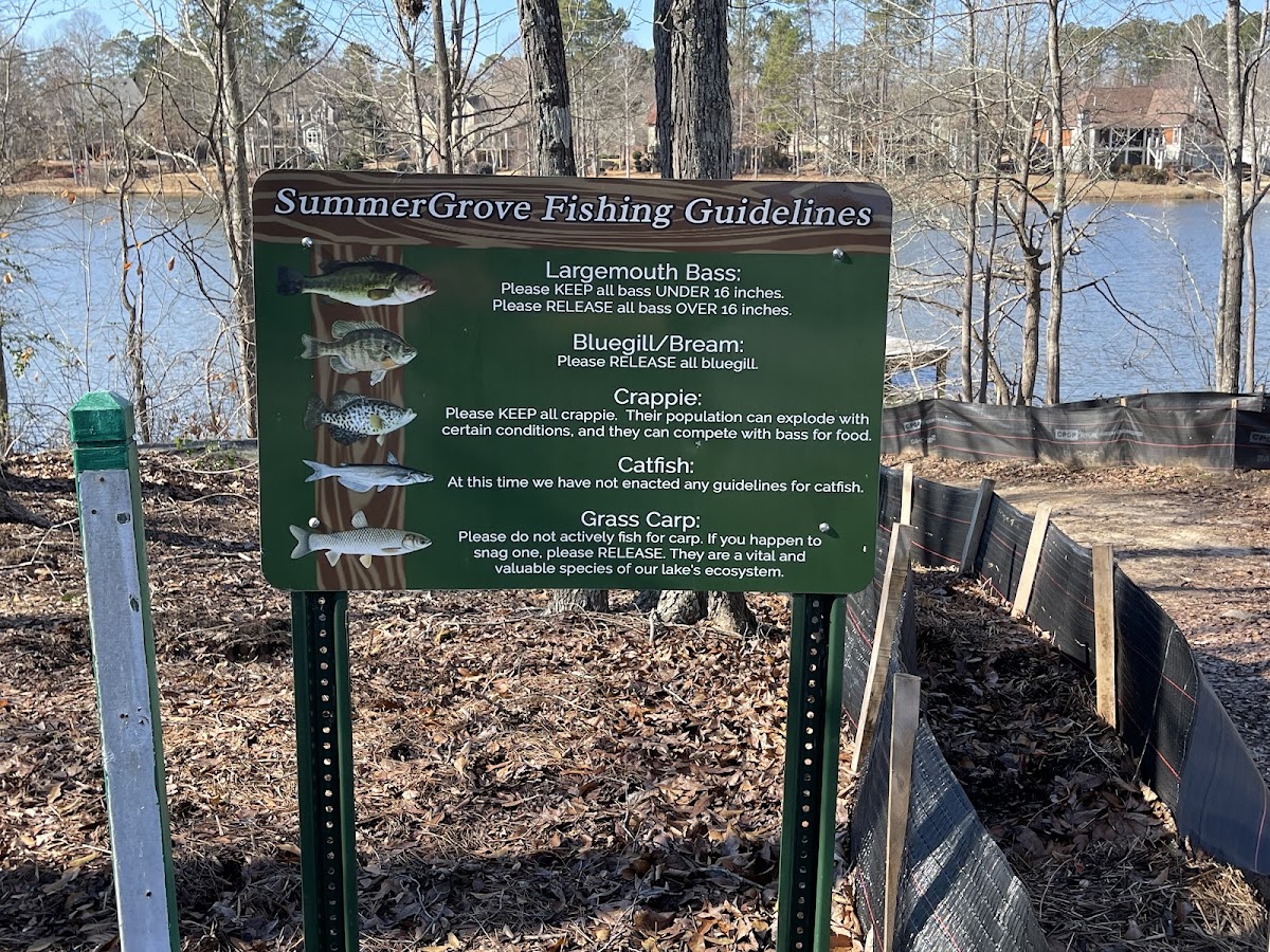 Eastlake Playground | Georgia USA 🇺🇸 — Newnan