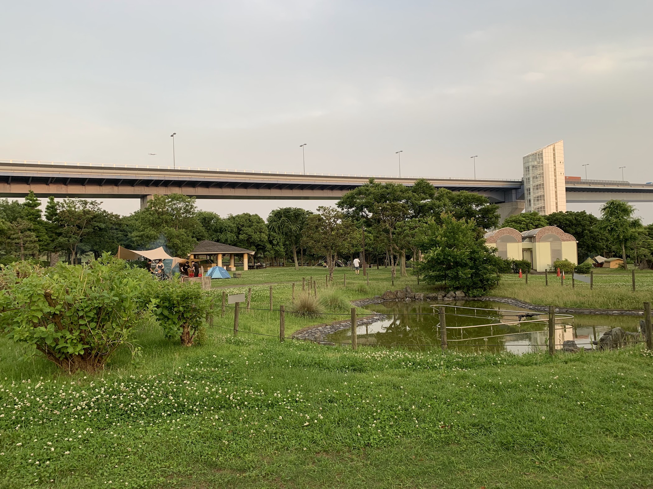 Wakasu Park Camping Ground — Koto City