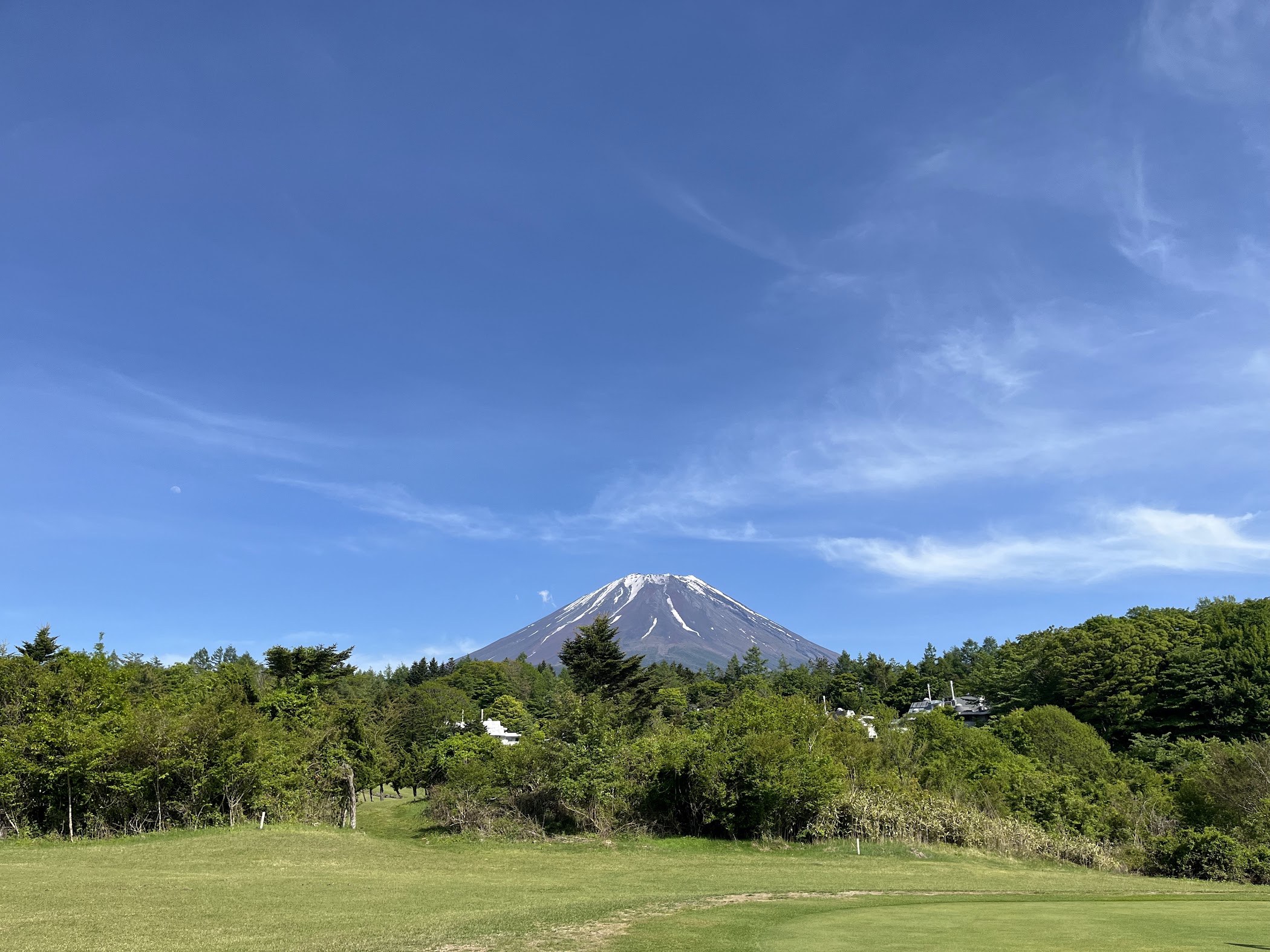 Fuji 300 Lady Green Club – TortoisePath | Japan 🇯🇵