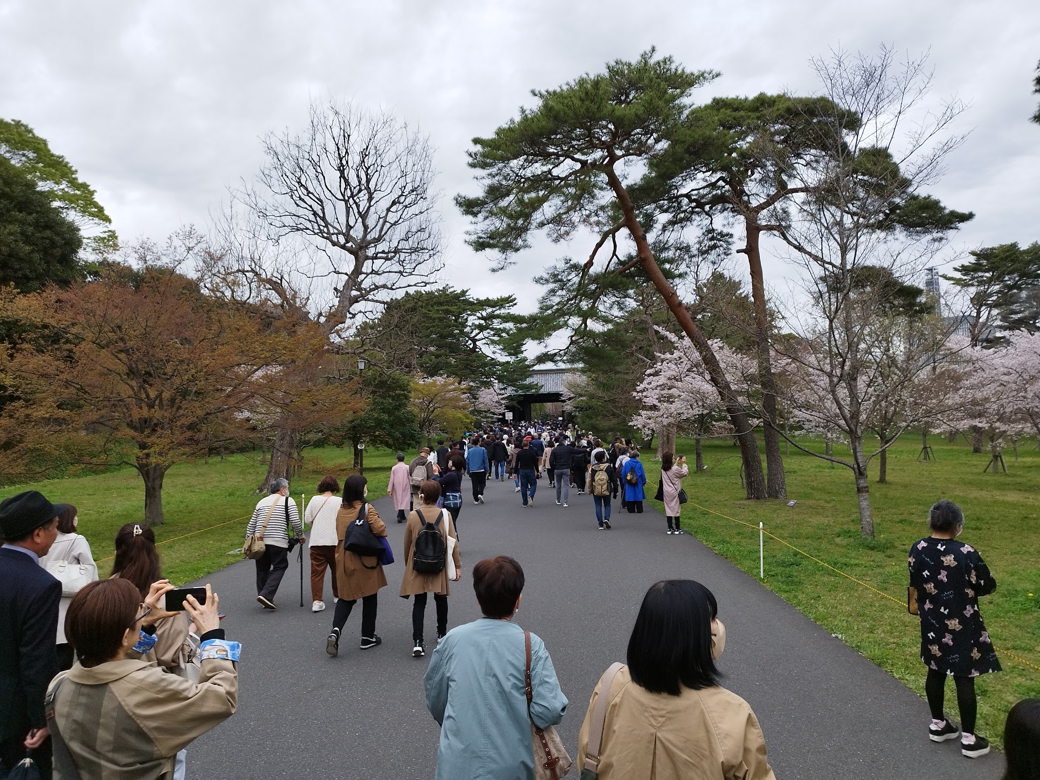 Inui Street — Chiyoda City