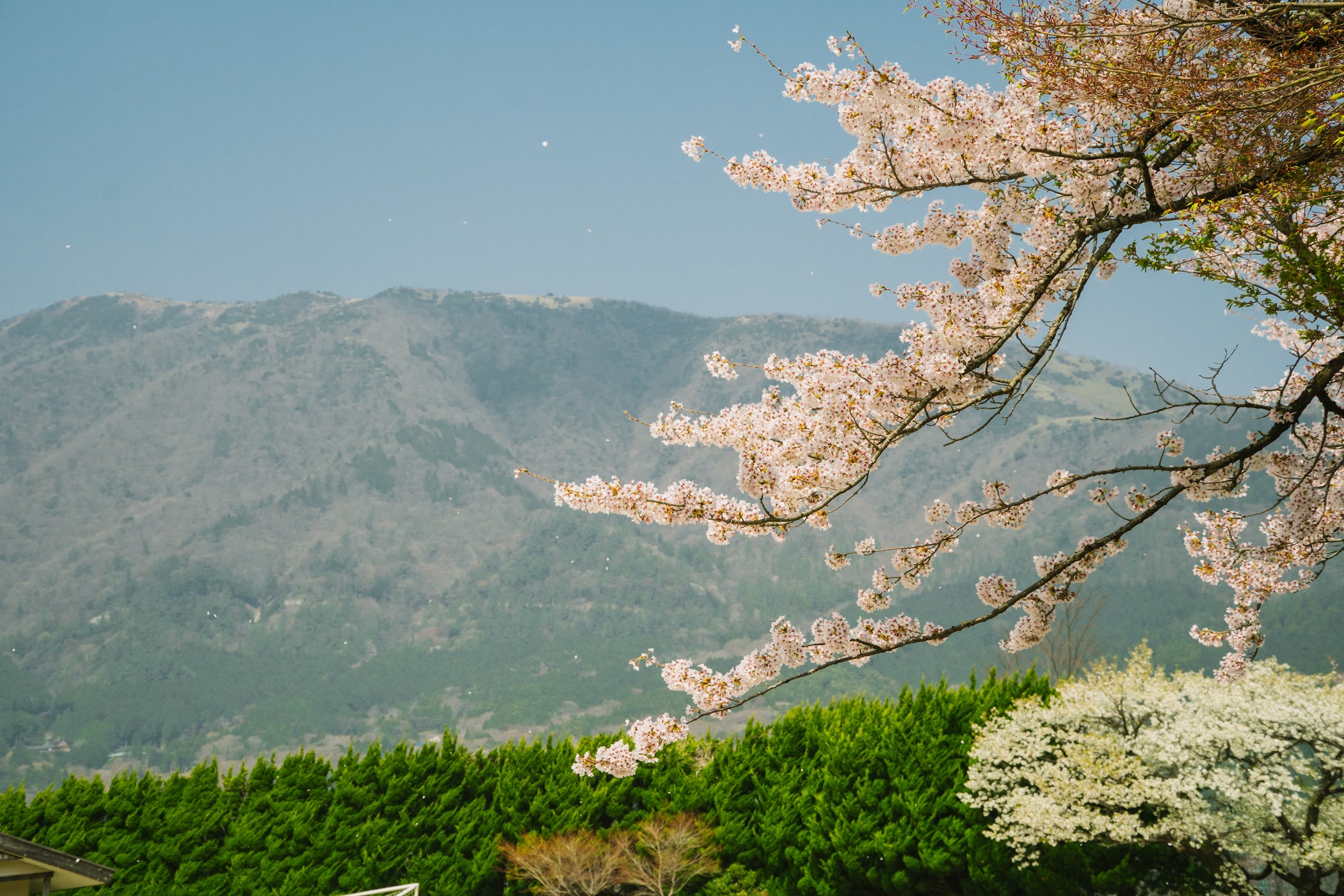 Hakone Junior High School — Hakone