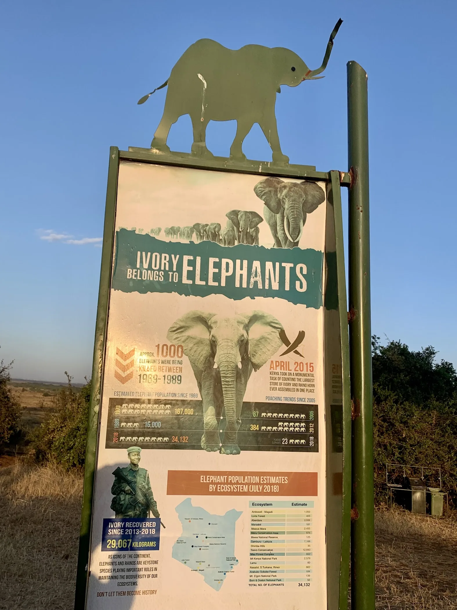 Ivory Buring Ivory Burning Site & Picnic Area – TortoisePath | Kenya 🇰🇪