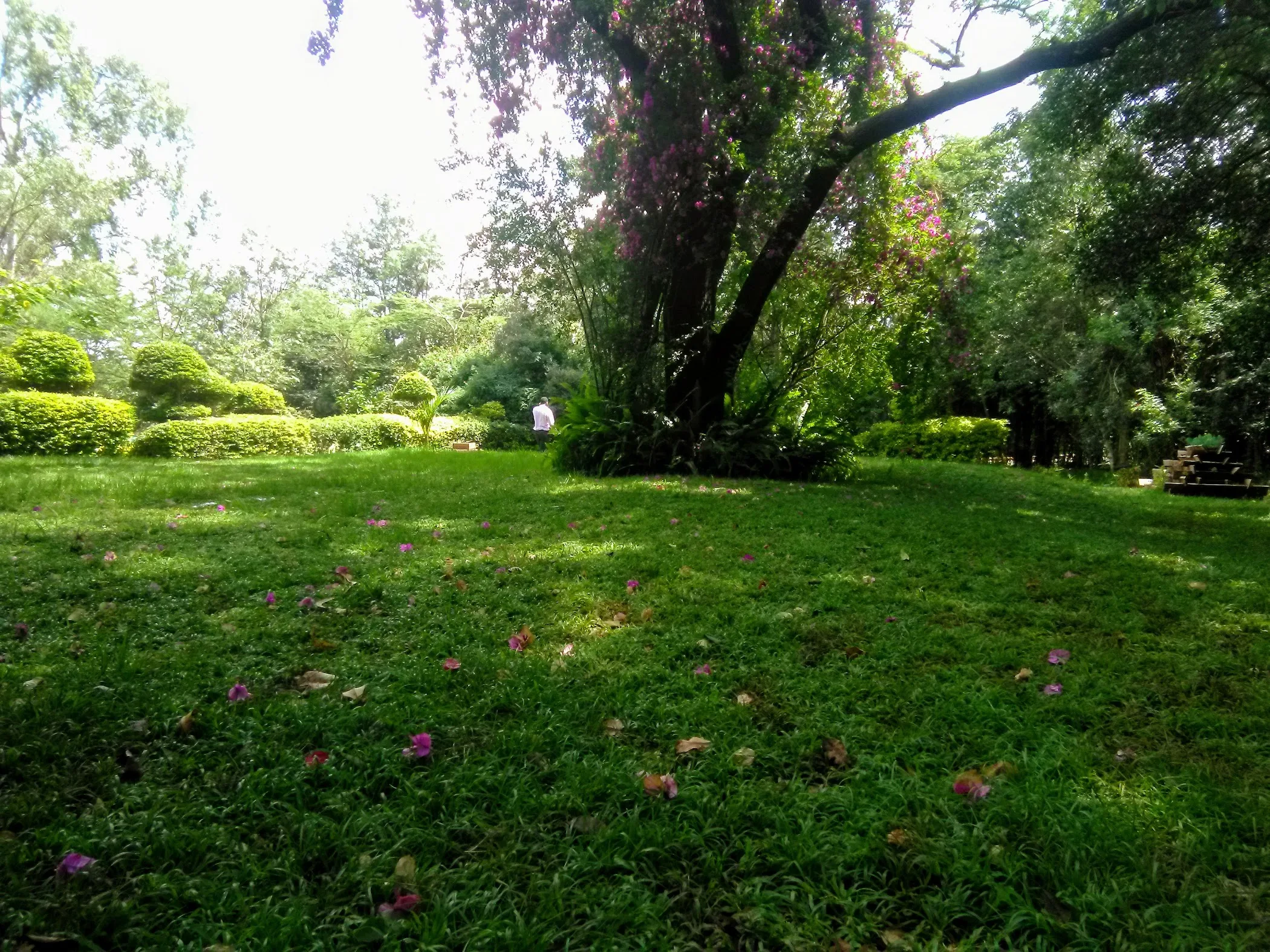 Langata Botanical Gardens — Nairobi