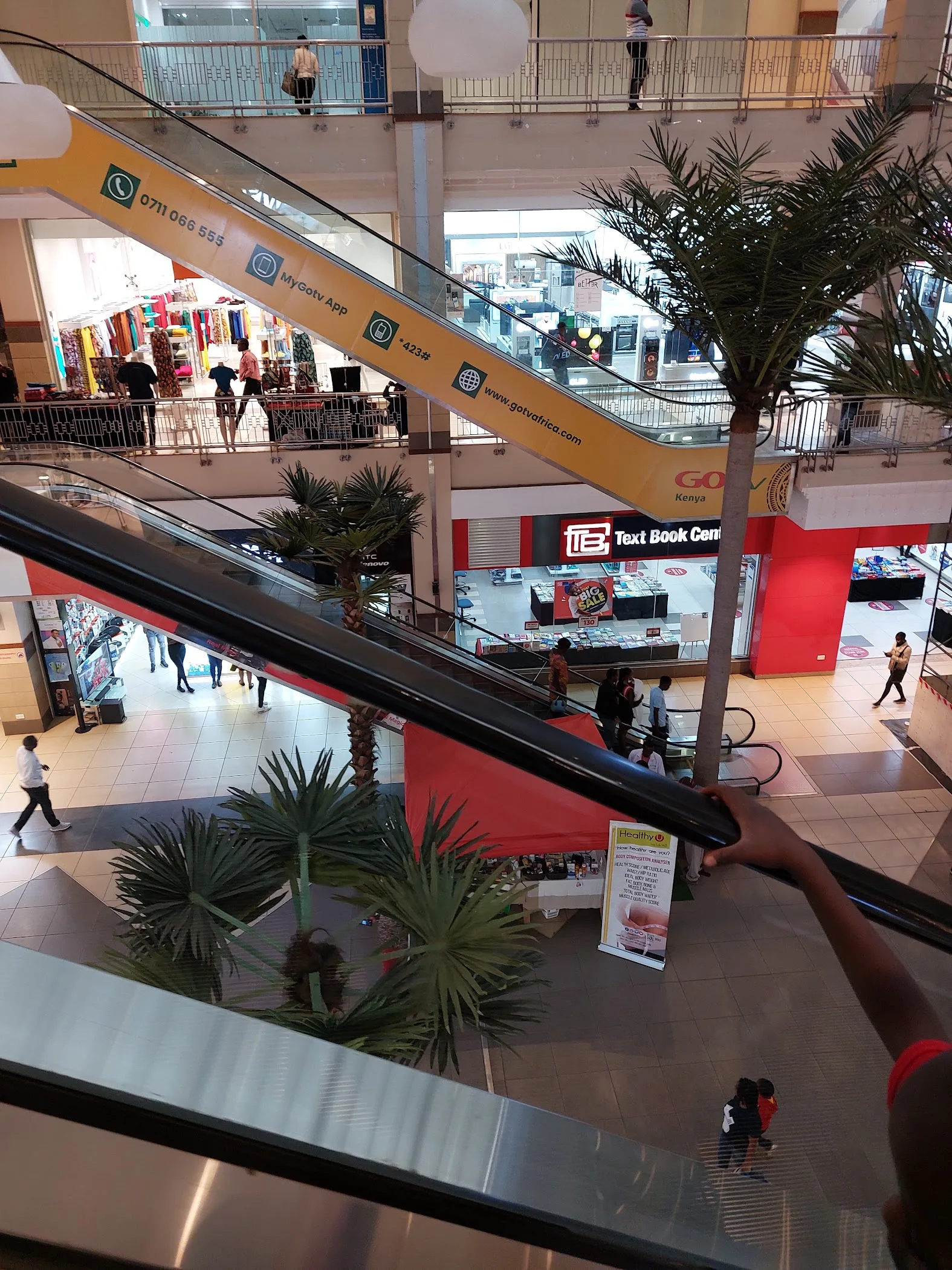Source image from TortoisePath