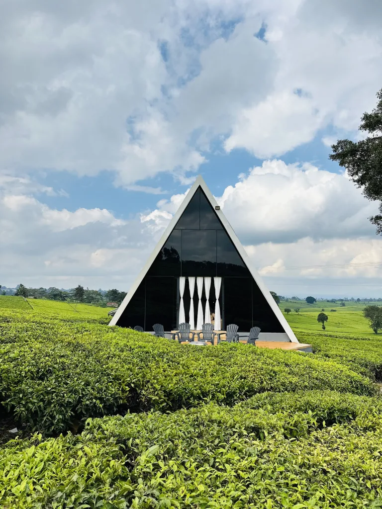 Riara Ridge Camellia Gardens Limuru – TortoisePath | Kenya 🇰🇪