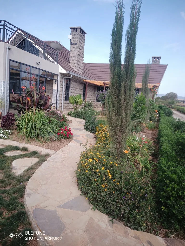 Inka Homes Nvs – TortoisePath | Kenya 🇰🇪