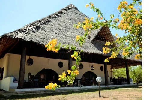 Kirathimo Explorer’s Oasis — Diani Beach