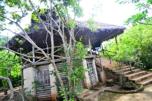 Stilts Tree Houses — Diani Beach