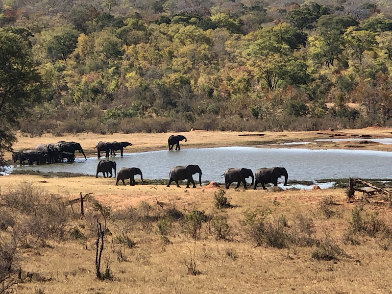 Hwange National Park | Mauritius | Mauritius