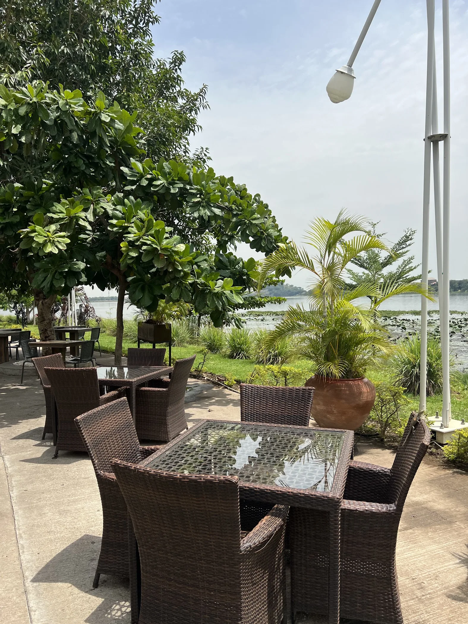 Cilantro | Jabi | Abuja — Abuja