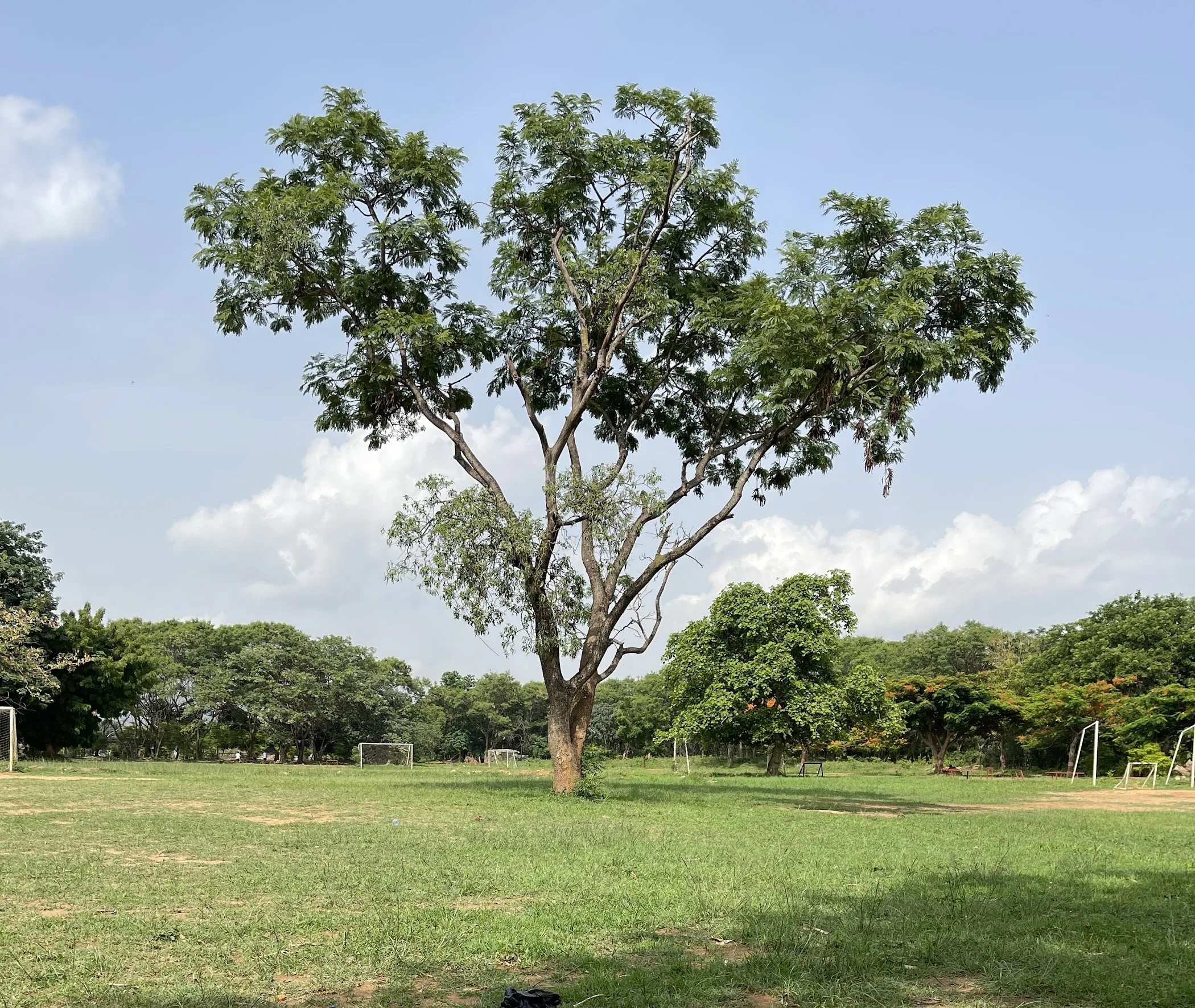 Chescon Park, Maitama — Abuja