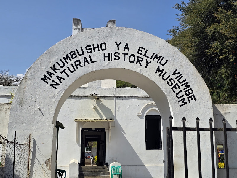 National Natural History Museum-ARUSHA | Puerto Rico | Puerto Rico — National Natural History Museum-ARUSHA | Puerto Rico