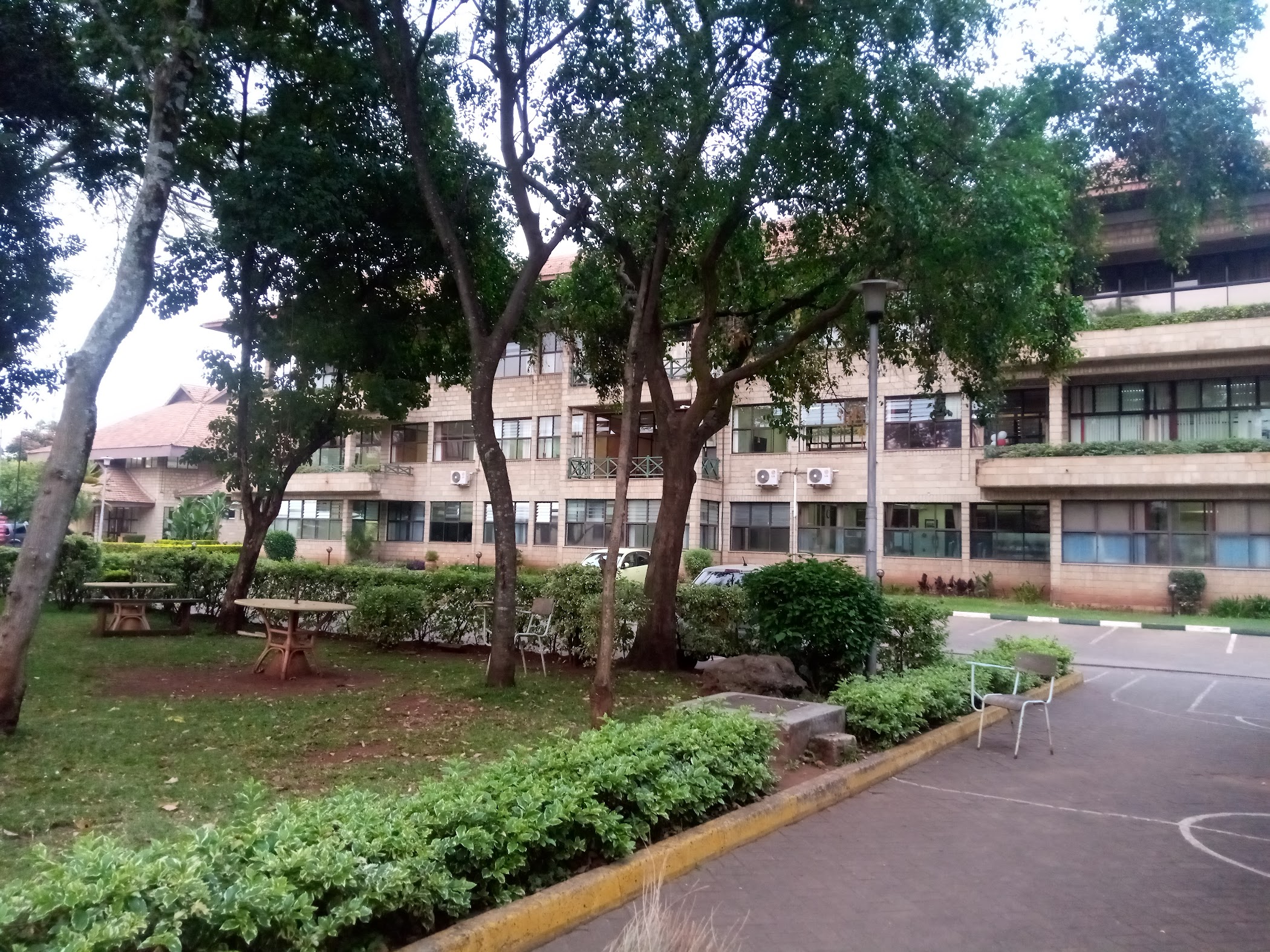 Amref International University | Kenya 🇰🇪 – TortoisePath | SchoolFinder 🎓