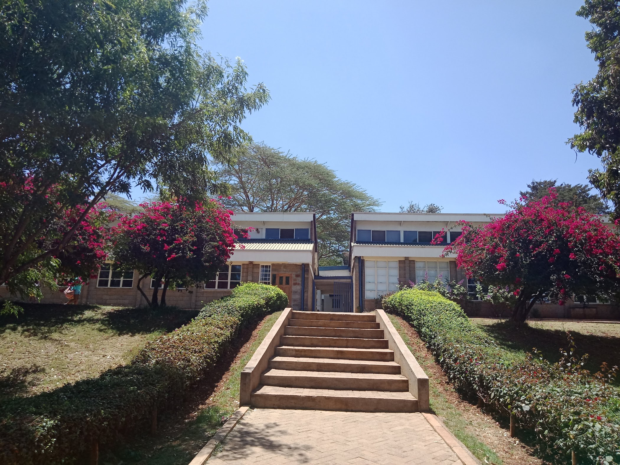 HILLCREST INTERNATIONAL SCHOOLS Kenya 🇰🇪 TortoisePath SchoolFinder 🎓