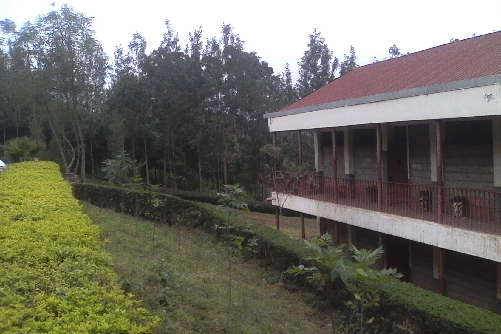 Olympic High School | Kenya 🇰🇪 — Nairobi