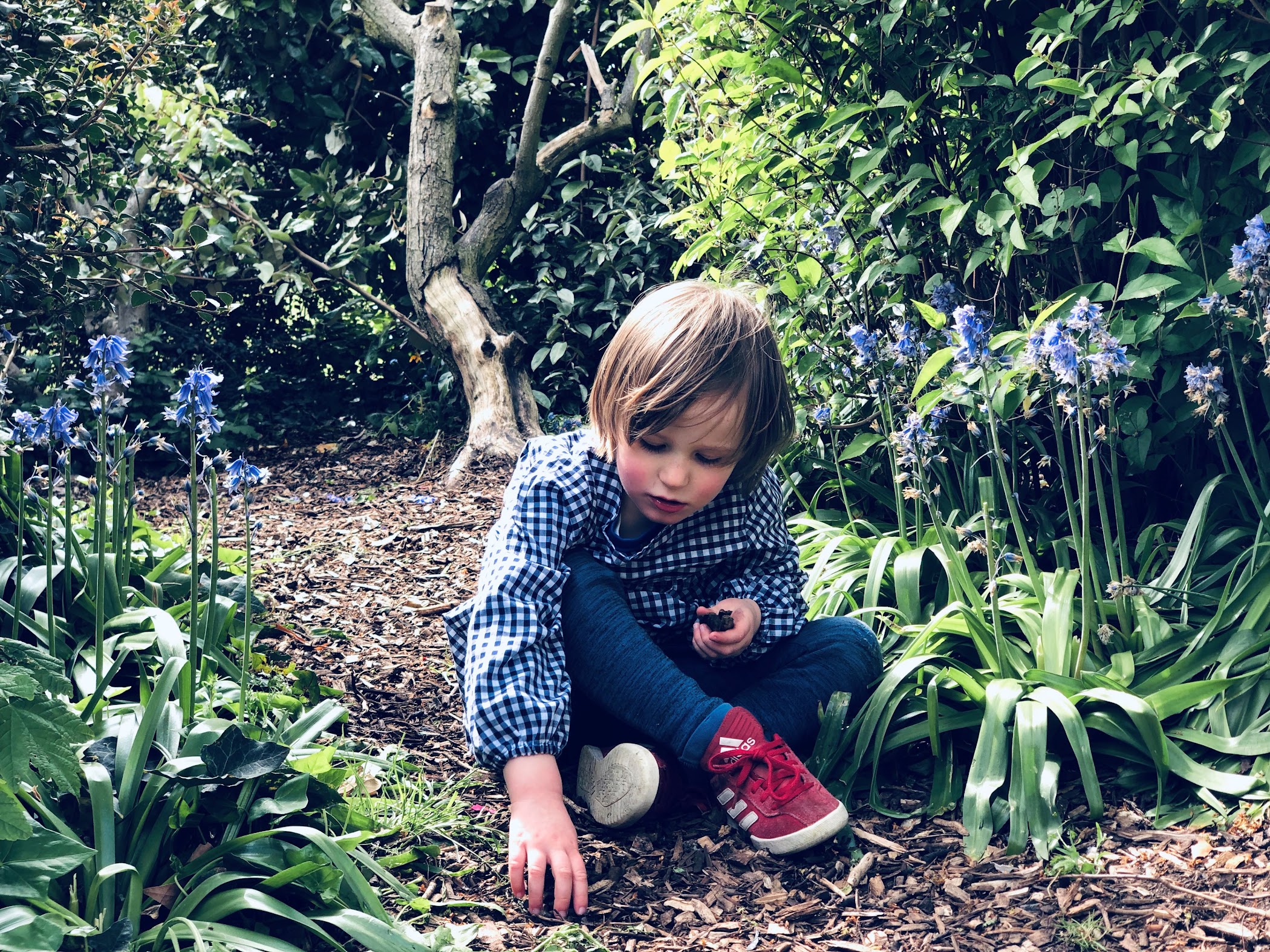 Bluebells Nursery School Battersea | UK 🇬🇧