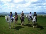 Source image from TortoisePath