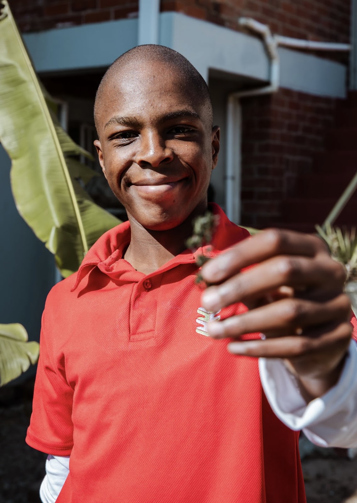 Glenoaks Remedial and Special Needs School | South Africa 🇿🇦 — Johannesburg