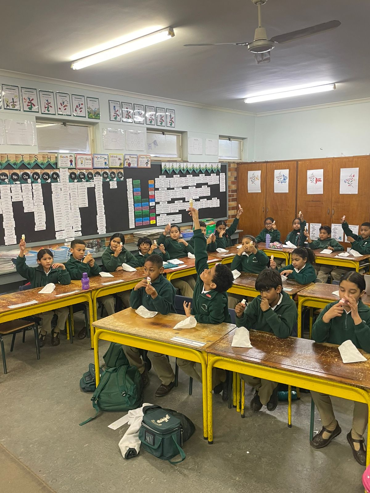 Bergvliet Primary School | South Africa 🇿🇦 – TortoisePath | SchoolFinder 🎓