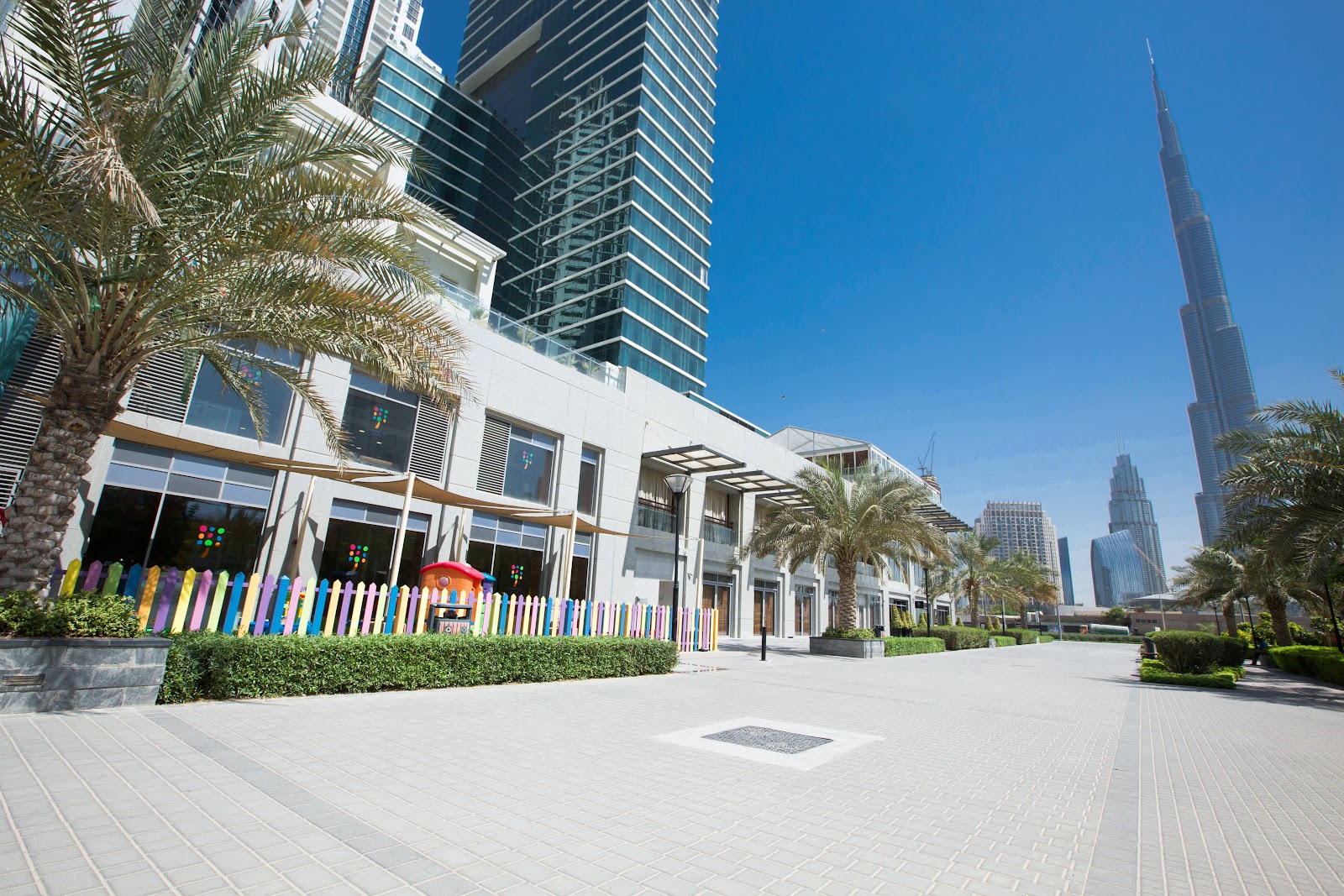 Learning Tree Nursery Dubai | UAE 🇦🇪 – TortoisePath | SchoolFinder 🎓