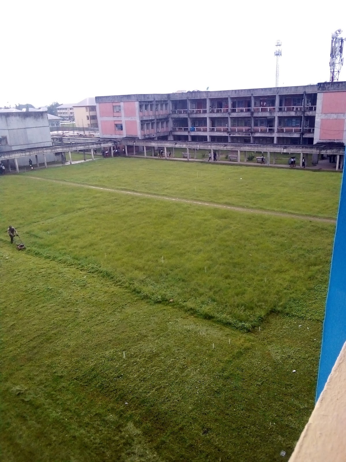 Polytechnic In Rivers State Rivers State University Faculty of science | Nigeria 🇳🇬 – TortoisePath ...