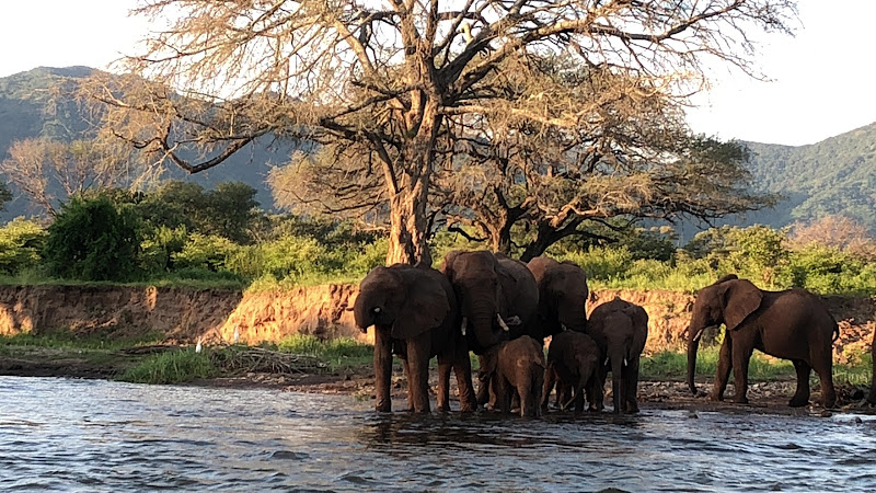 Mana Pools National Park | Somalia | Somalia — Mana Pools National Park | Somalia