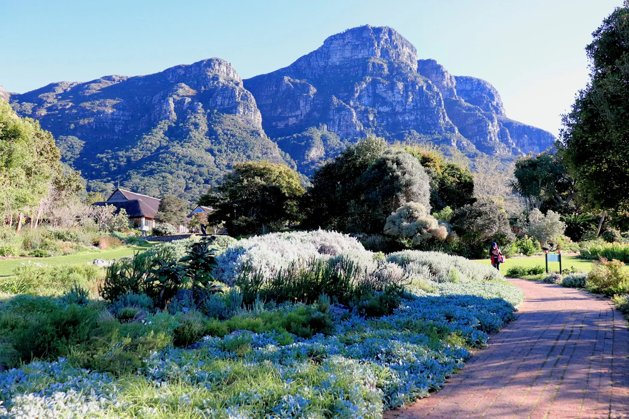 Kirstenbosch National Botanical Garden TortoisePath South Africa Kirstenbosch National Botanical Garden TortoisePath South Africa