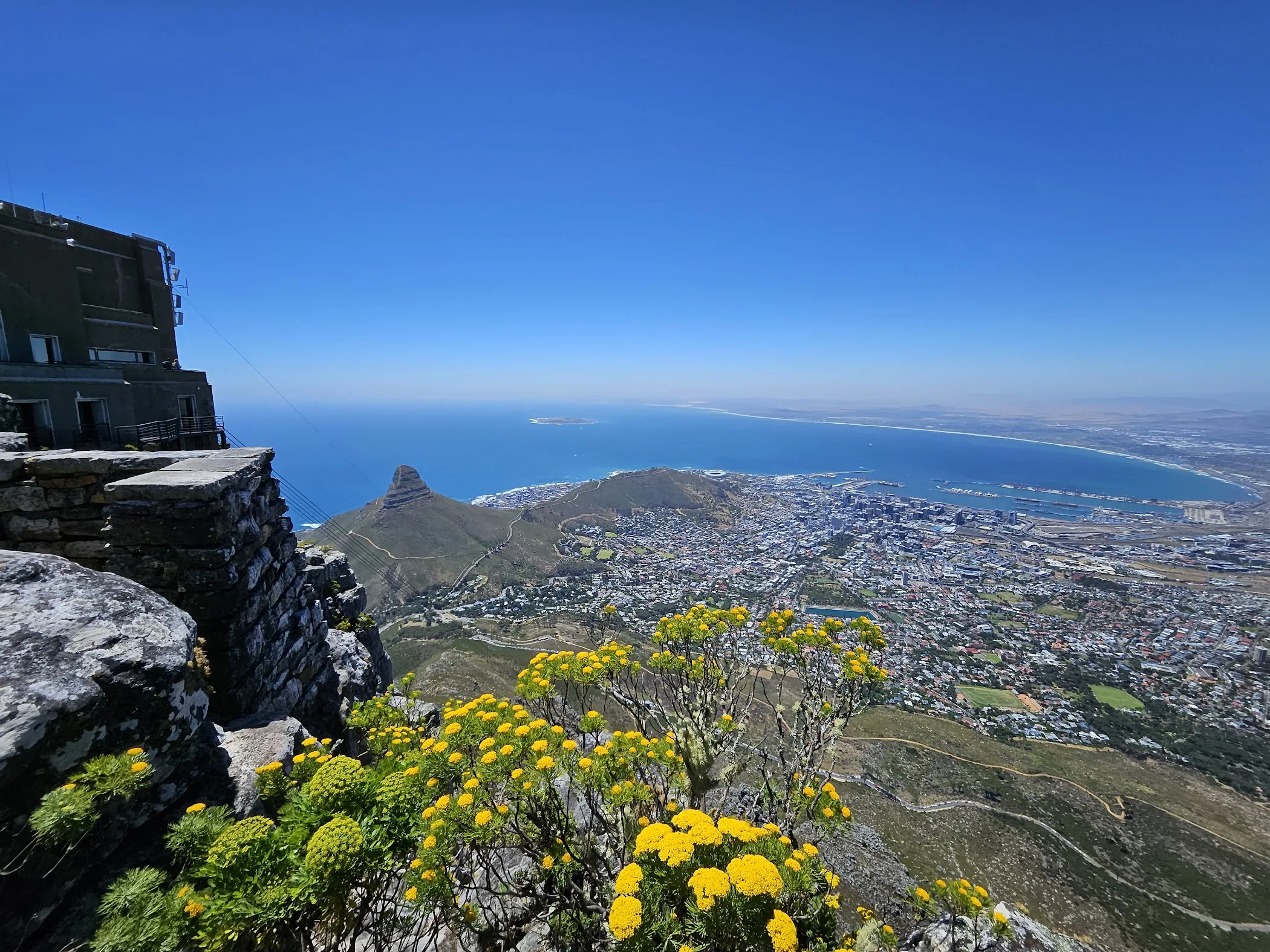 table-mountain-national-park-tortoisepath-south-africa