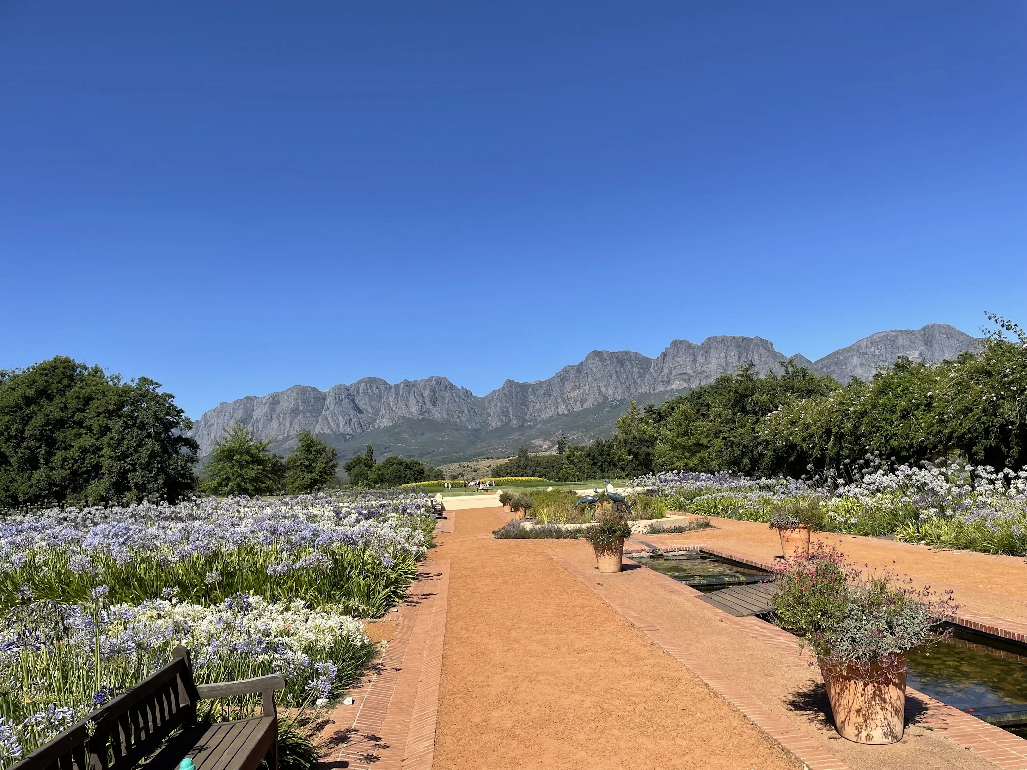 Arrival and context view at Vergelegen Wine Estate in Somerset West, Cape Town.
