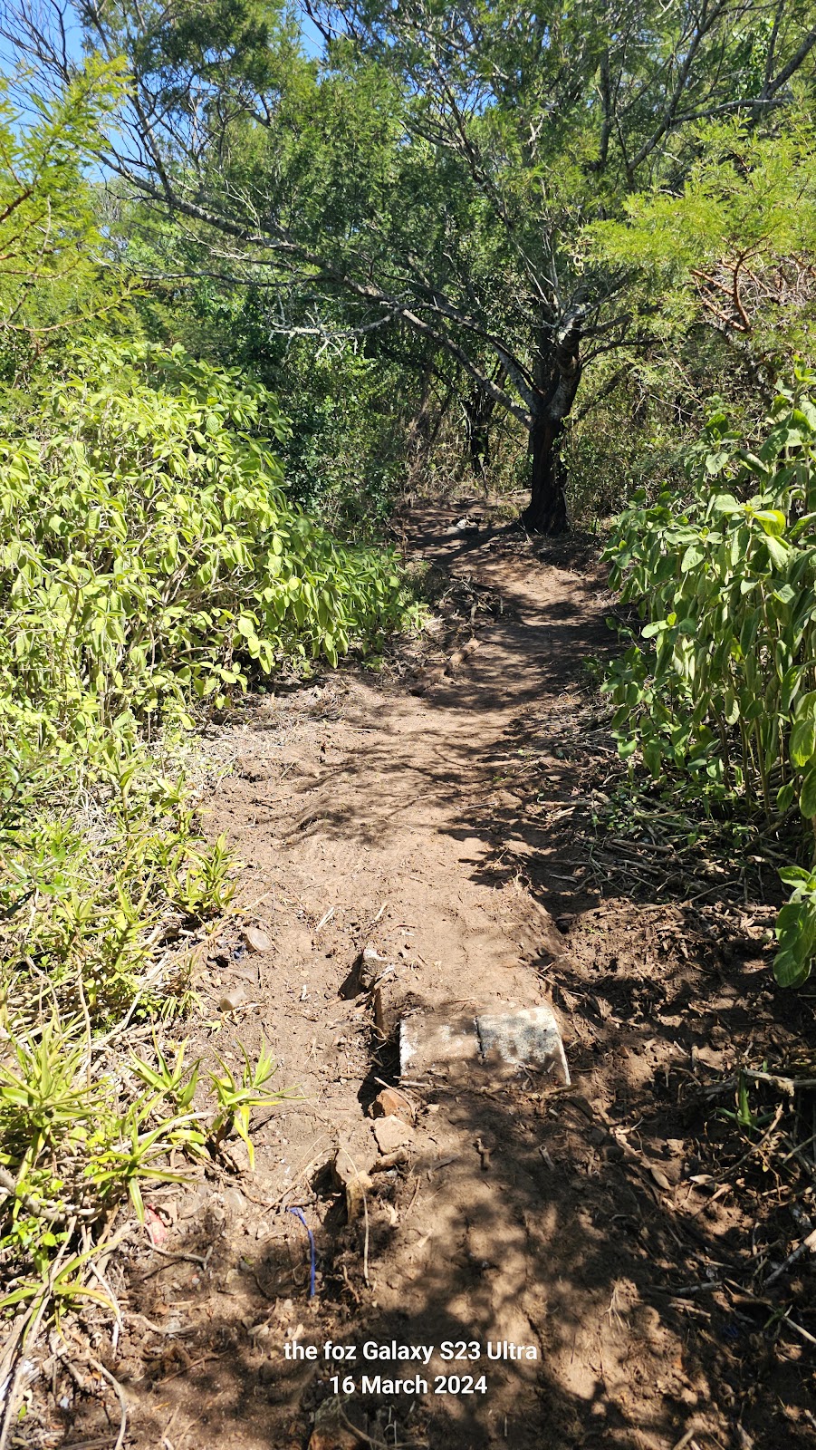 Hillcrest trails — East London