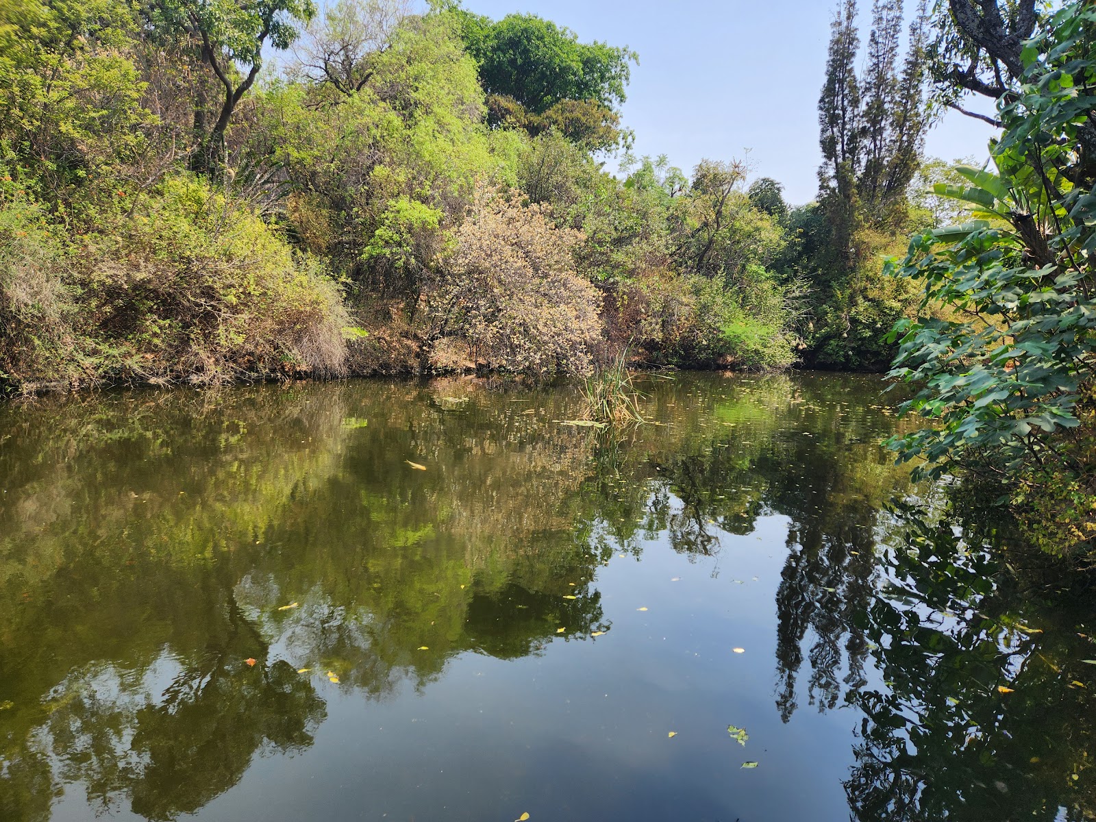 Jan Cilliers Park — Pretoria