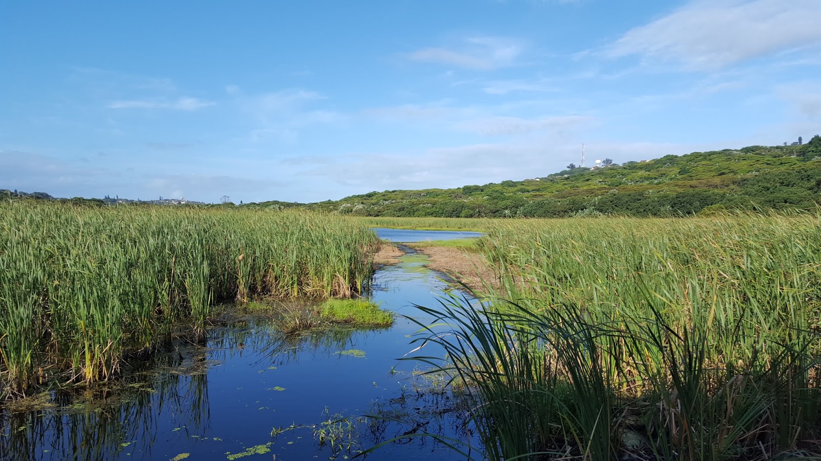Bluff Nature Reserve — Durban