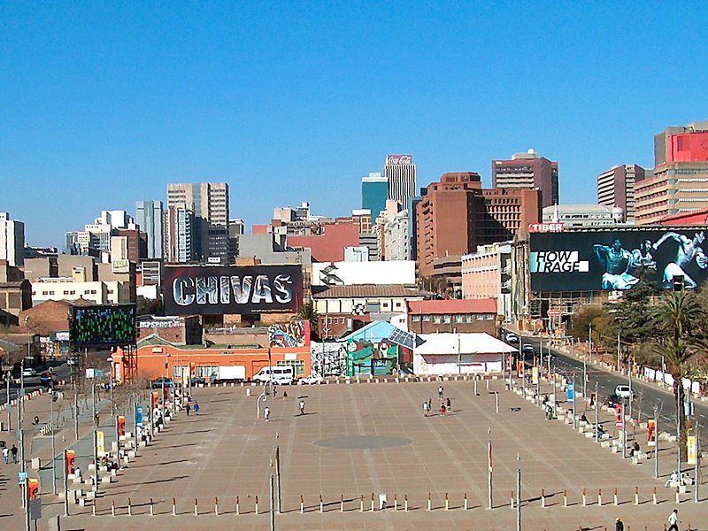 Mary Fitzgerald Square – TortoisePath | South Africa 🇿🇦