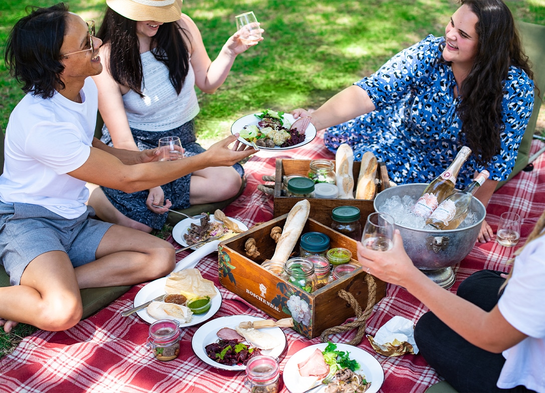 Werf Farm Picnic at Boschendal — Cape Town