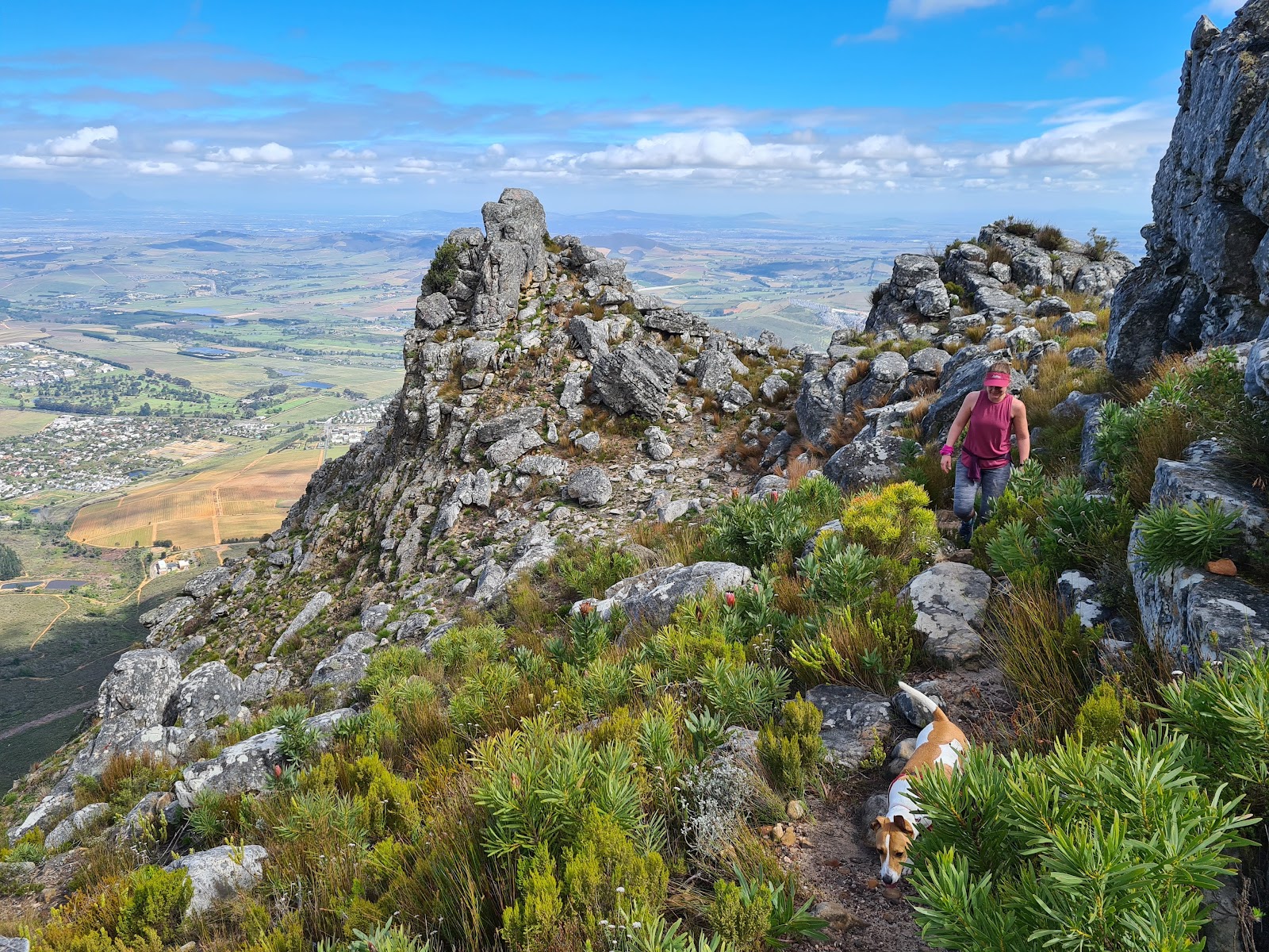 Stellenbosch Mountain