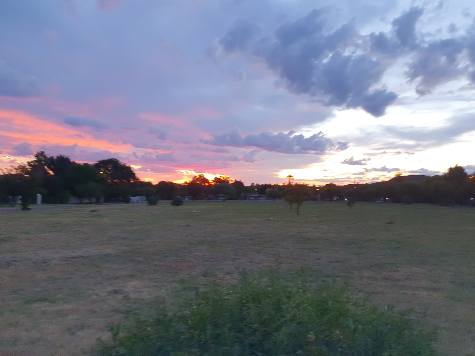 Park — Bloemfontein