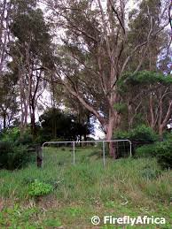 Dodd’s Farm — Gqeberha