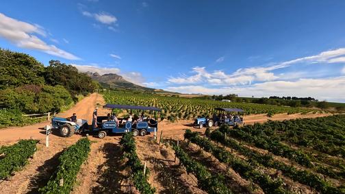 Stellenbosch wine tractor