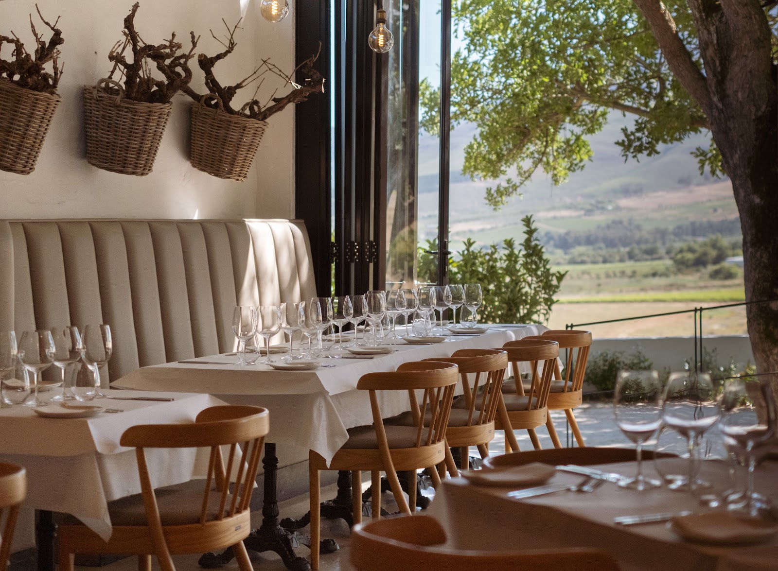 Stellenbosch Reserve — Stellenbosch