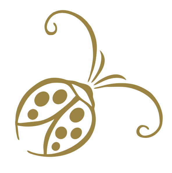 Beetleloop Guest House — Mbombela