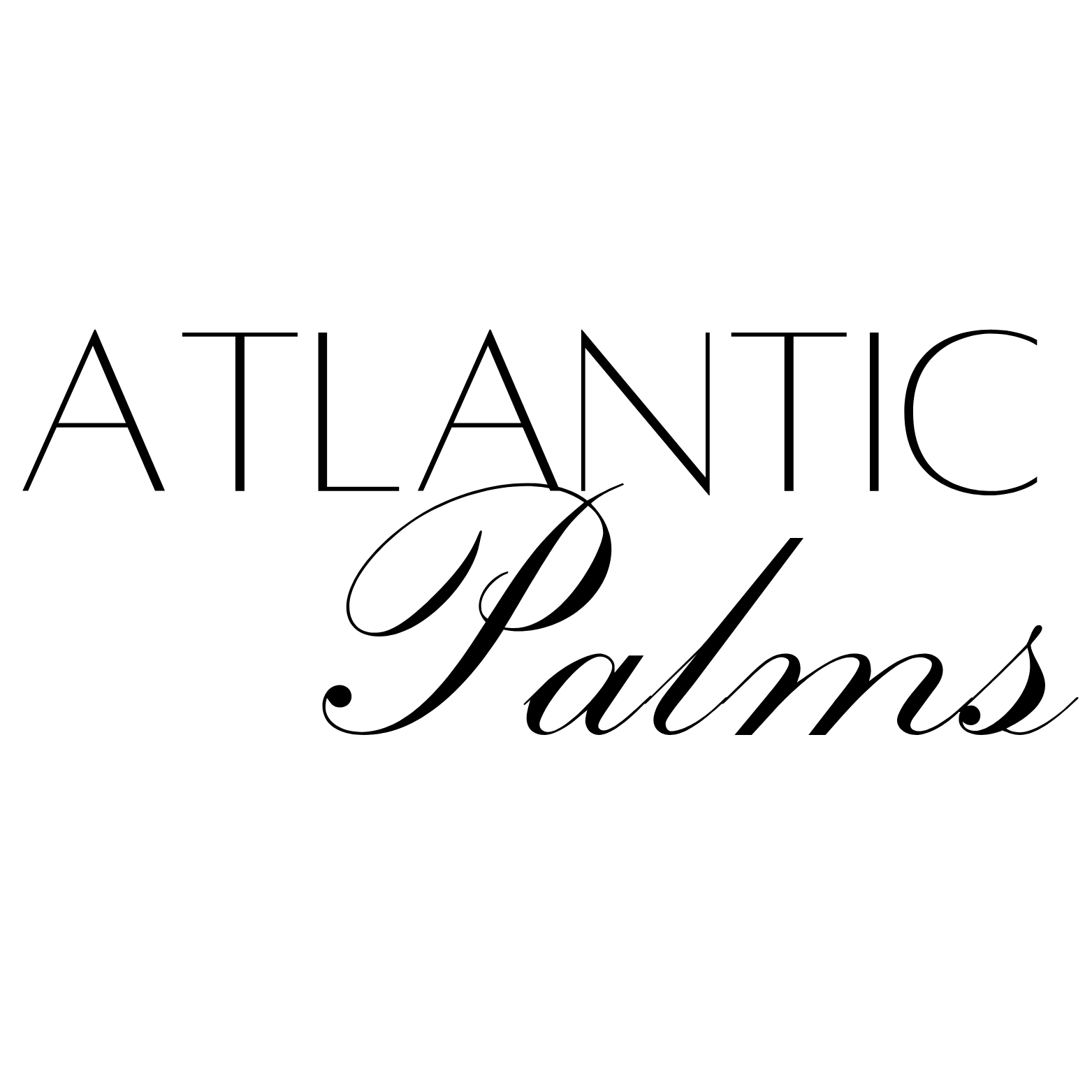 Atlantic Palms — Cape Town