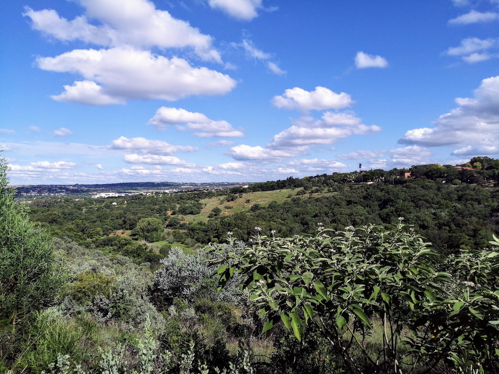Moreleta Kloof Nature Reserve — Pretoria