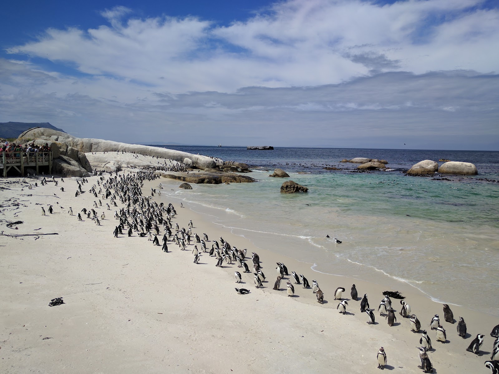 Boulders Beach — Cape Town