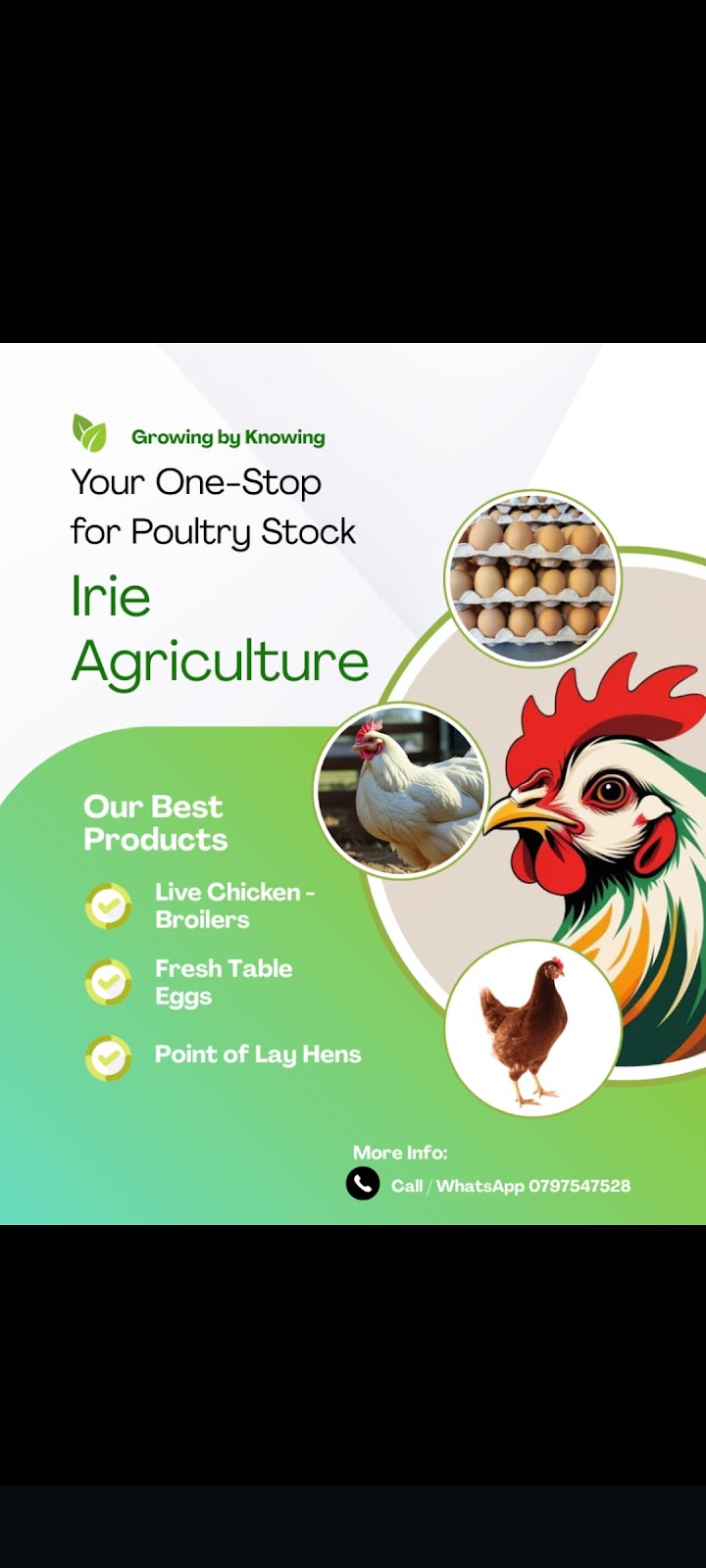 Irie Agriculture — Polokwane