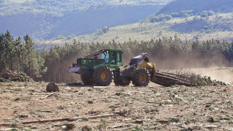 Forestry Plant & Equipment Sales